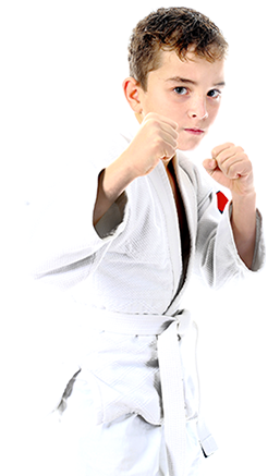 Taekwondo Karate Fitness Martial Arts